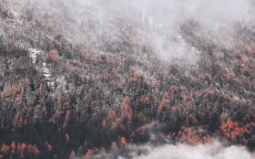 象征美好姻缘的风水元素与布局之道